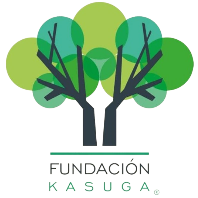 logo fundacion kasuga